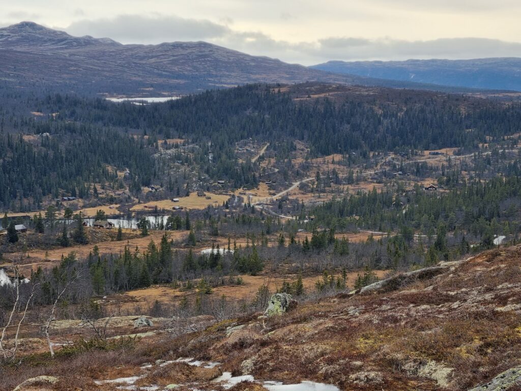 Høstlig oversiktsbilde Åsbøseterdalen fra sørøst i Hallandsfjellet mot Berghovda.